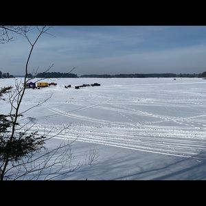 Meet your Posher, Bryant